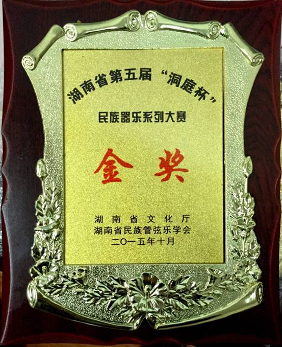2015省“洞庭杯”获金奖.jpg
