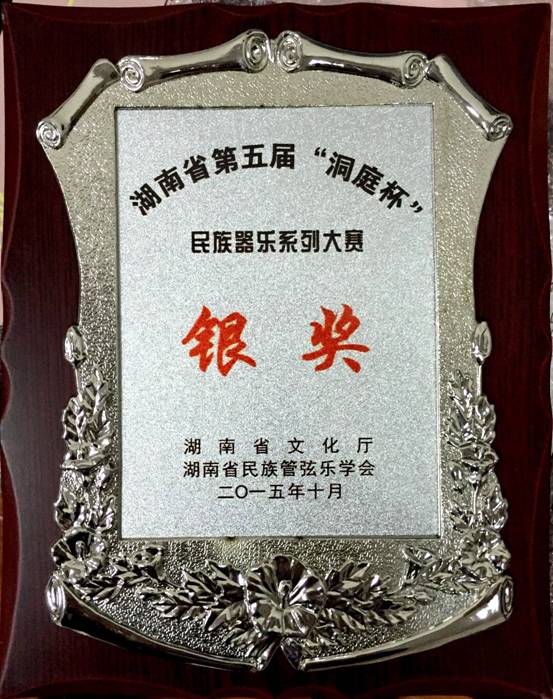 2015省“洞庭杯”获银奖.jpg
